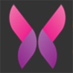 夜爱直播安装包下载大全