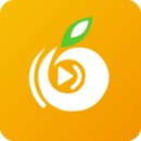 红杏直播安装包在线下载