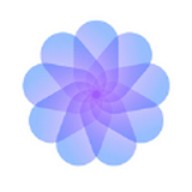 菠萝菠萝蜜视频高清最新版